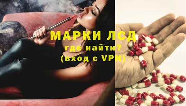 гашик Заволжье