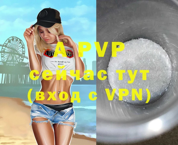 дмт Переславль-Залесский